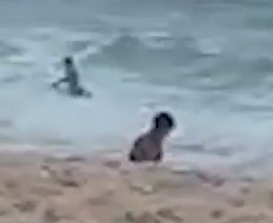 Vídeo mostra menino Edson Davi brincando próximo ao mar pouco antes de desaparecer
