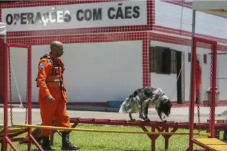 Cão do Corpo de Bombeiros, teve papel crucial para salvar menina de 4 anos que estava sob escombros em Petrópolis