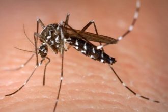 Campos decreta epidemia de dengue