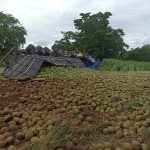Caminhão que transportava carga de coco tomba na BR-356 após motorista perder o controle em curva