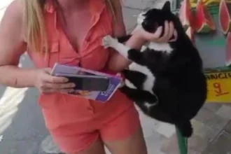 Mulher é flagrada agredindo gata e causa revolta nas redes sociais