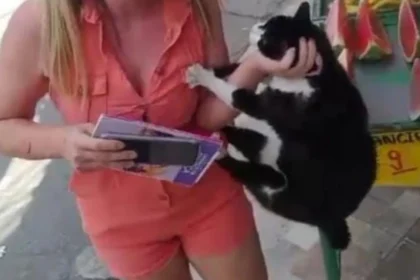 Mulher é flagrada agredindo gata e causa revolta nas redes sociais