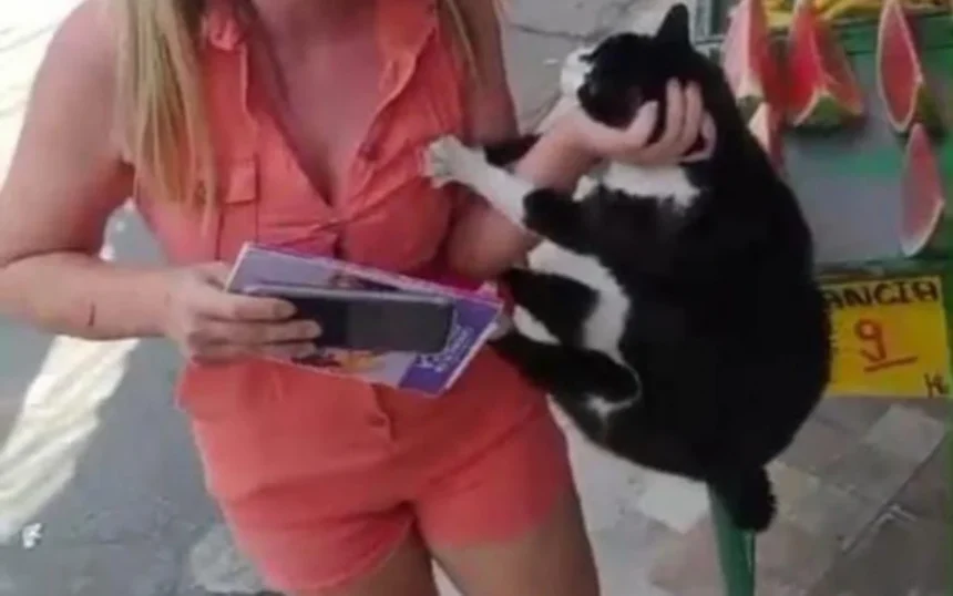 Mulher é flagrada agredindo gata e causa revolta nas redes sociais