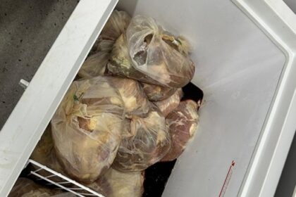 Cerca de 100 kg de carnes e linguiça estragados são encontradas em freezers de hospital