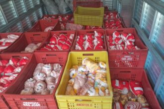 Operação Foco apreende cerca de duas toneladas de frango transportado de forma irregular na BR-101