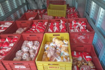 Operação Foco apreende cerca de duas toneladas de frango transportado de forma irregular na BR-101