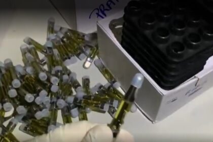 Três influenciadoras são presas em operação contra o tráfico de drogas, lavagem de dinheiro e crimes contra a saúde pública