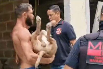 Pitbull é assassinado a tiros após atacar promotor do MP, no Rio