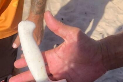Mulher que foi esfaqueada em barraca morre em Cabo Frio