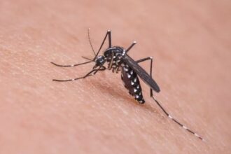 Mais três mortes por dengue são confirmadas em Nova Friburgo