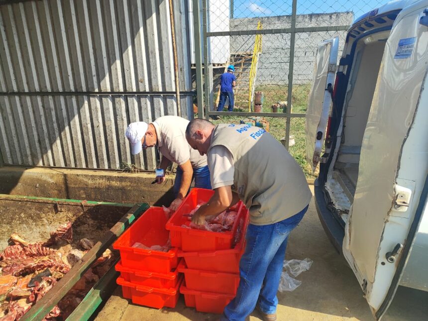 Operação em Santo Antônio de Pádua apreende 150kg de filé de peixe sem refrigeração