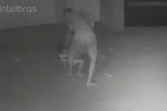 VÍDEO: homem é preso em flagrante após espancar o próprio filho de 5 anos