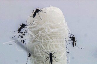 Casos de dengue entram em queda no estado do Rio