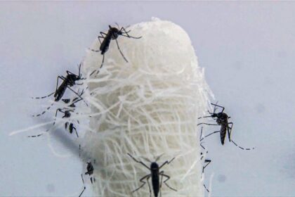 Casos de dengue entram em queda no estado do Rio