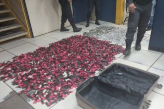 Funcionária da Secretaria de Saúde é presa com mais de 14 kg de droga 