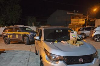 PRF prende motorista por tráfico de drogas; homem tentou fugir pela BR 101