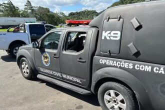 Com cães farejadores, polícia faz buscas por advogada desaparecida em sítio 