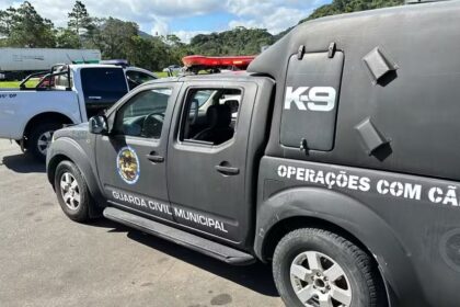 Com cães farejadores, polícia faz buscas por advogada desaparecida em sítio 