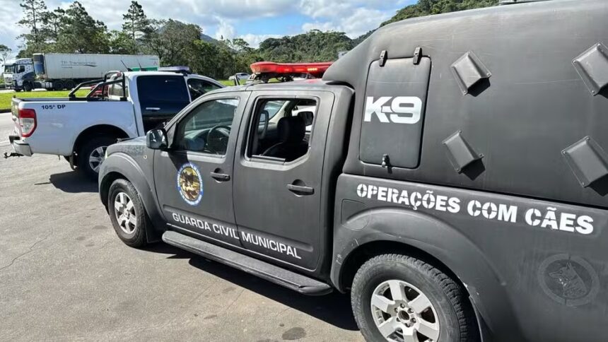 Com cães farejadores, polícia faz buscas por advogada desaparecida em sítio 