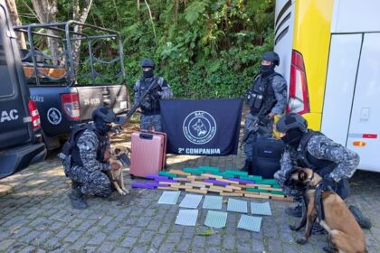 Polícia apreende 105 kg de maconha localizados em malas de passageiros dentro de ônibus
