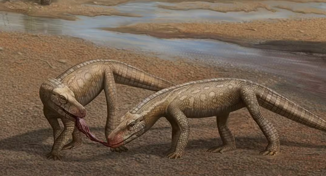 Réptil que viveu antes dos dinossauros é descoberto no Brasil