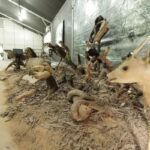 Alunos da Bem Faz Bem recebem palestra sobre educação ambiental