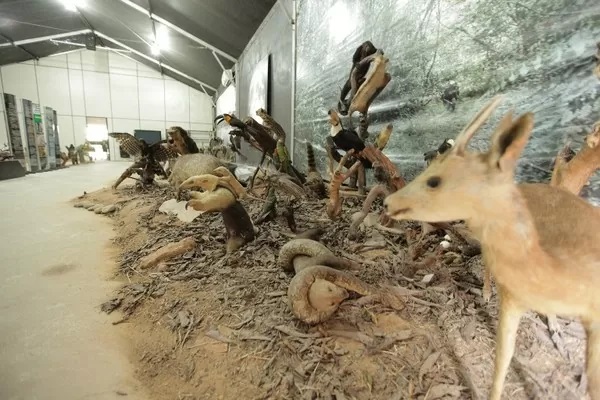 Alunos da Bem Faz Bem recebem palestra sobre educação ambiental