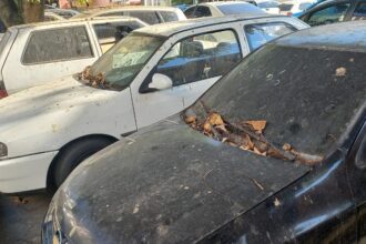 Sem acordo com Pátio Norte, veículos apreendidos seguem armazenados em pouco espaço na delegacia do Centro de Campos