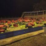 Acidente na BR-101, em Campos, entre carro e caminhão que transportava bananas deixa vítima em estado grave