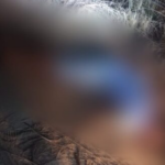 Corpo de jovem é encontrado com marcas de tiros na cabeça, em Itaperuna