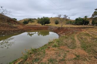 Polícia identifica construção de açude e corte ilegal de árvores, em Itaocara