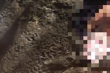 Jovem de 21 anos é assassinado a tiros em Italva