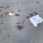 Amostras de sangue são descartadas na Rua Doutor Siqueira, em Campos