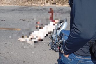 Acidente envolvendo moto e caminhão deixa um homem morto em São Francisco de Itabapoana