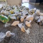 PM apreende mais de 8 mil pinos de cocaína em comunidade de Campos