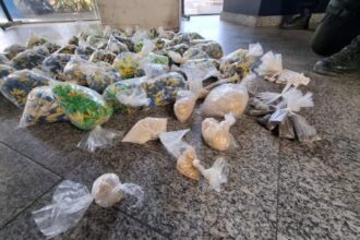 PM apreende mais de 8 mil pinos de cocaína em comunidade de Campos