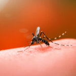 Com mais de 17 mil notificações de dengue, Campos tem quarto óbito confirmado