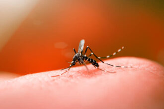 Com mais de 17 mil notificações de dengue, Campos tem quarto óbito confirmado