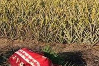 Mulher é encontrada morta ao lado de moto na RJ-224, em São Francisco de Itabapoana
