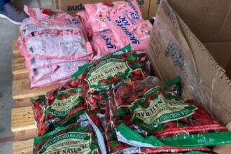 Balas Dori são recolhidas por risco de contaminação por Salmonella em Campos