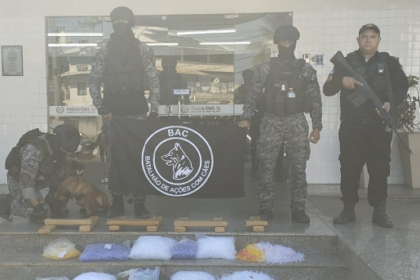 Cães farejadores ajudam polícia a encontrar grande quantidade de drogas dentro de residência, em Campos