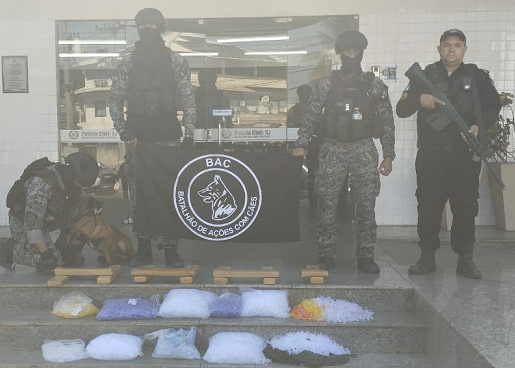 Cães farejadores ajudam polícia a encontrar grande quantidade de drogas dentro de residência, em Campos