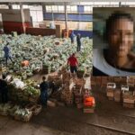 TRE e MPE recebem denúncia de suposta compra de votos em Campos após vídeo de funcionária da Prefeitura pedindo voto para Wladimir em galpão com sacolões