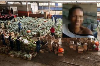 TRE e MPE recebem denúncia de suposta compra de votos em Campos após vídeo de funcionária da Prefeitura pedindo voto para Wladimir em galpão com sacolões