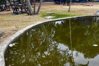 Estado de lago no Jardim São Benedito, em Campos, chama a atenção negativamente