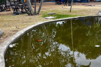 Estado de lago no Jardim São Benedito, em Campos, chama a atenção negativamente