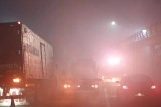 Incêndio em vegetação gera interdição no trânsito na BR-101