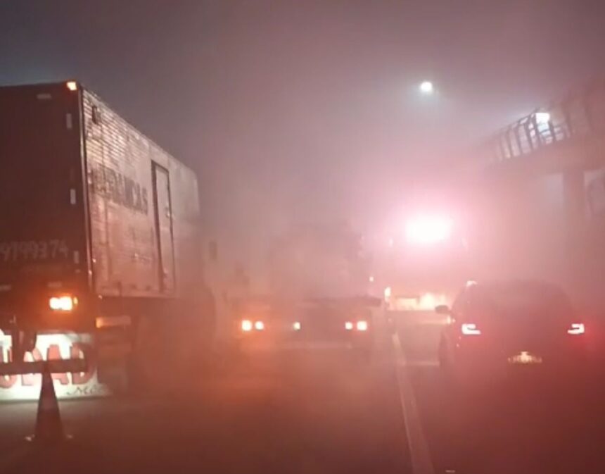 Incêndio em vegetação gera interdição no trânsito na BR-101
