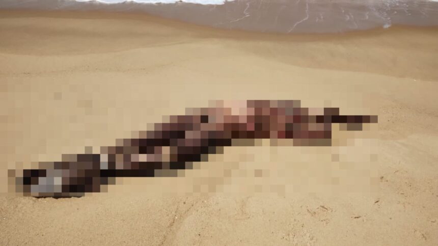 Corpo de homem executado a tiros é encontrado na Praia do Açu, em São João da Barra