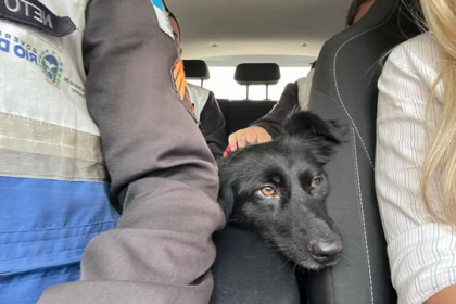 Idoso é preso suspeito de estuprar cadela 